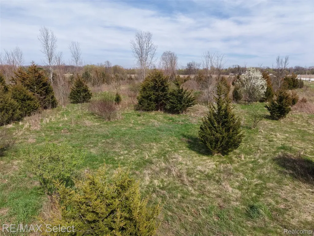 0 S Morrish Road Clayton Charter Township MI 48532
