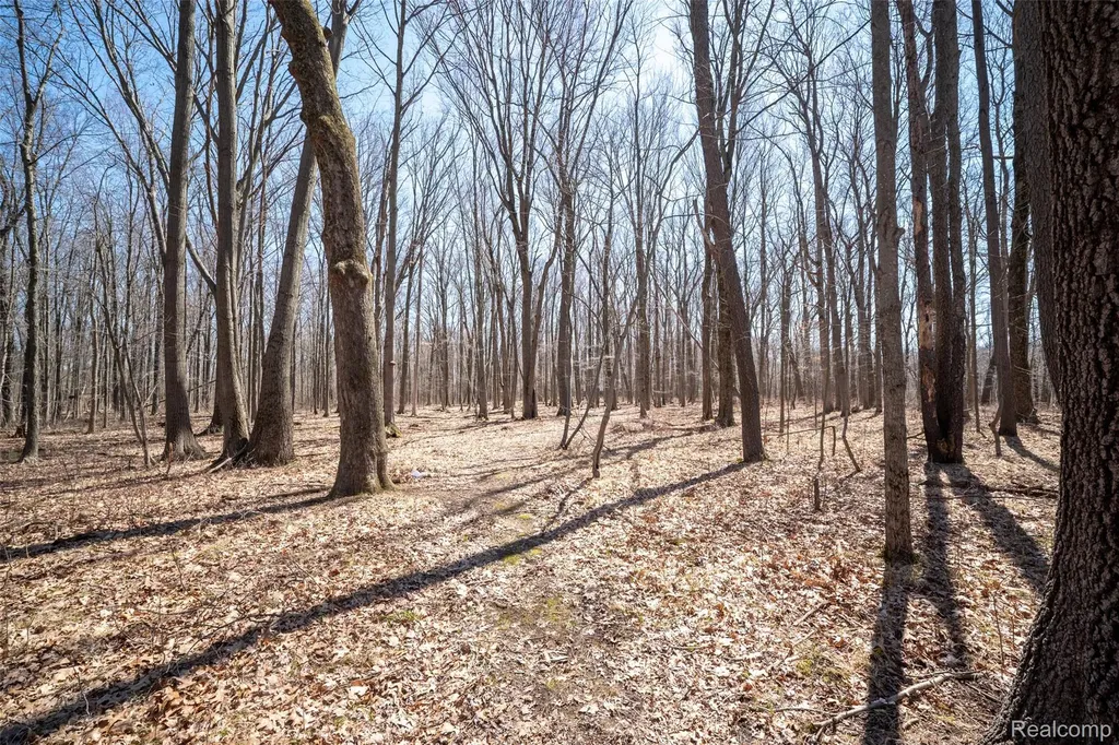 825 W Rose Center Road Holly Township MI 48442
