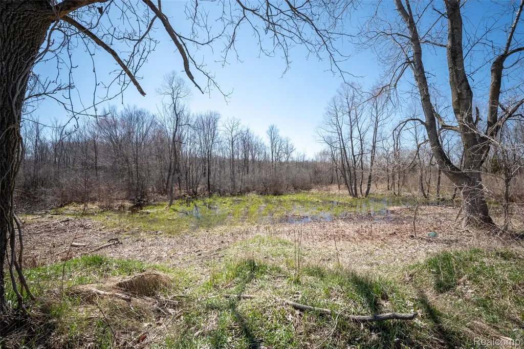 825 W Rose Center Road Holly Township MI 48442