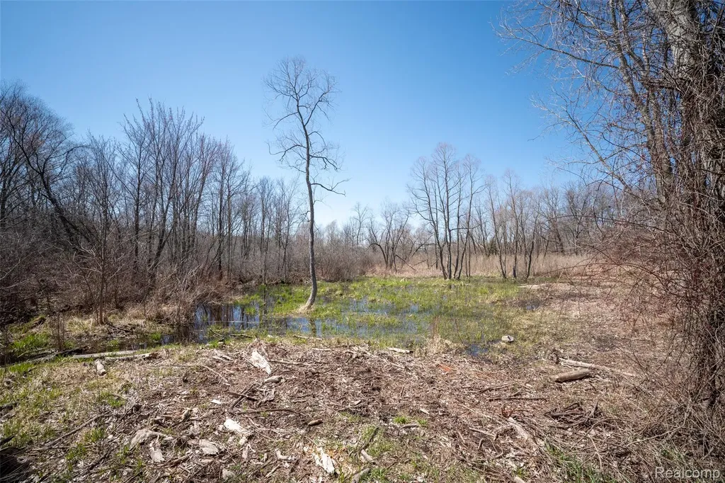 825 W Rose Center Road Holly Township MI 48442