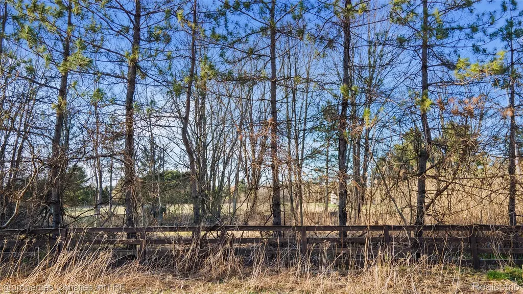E Hunters Creek Road Metamora Township MI 48455