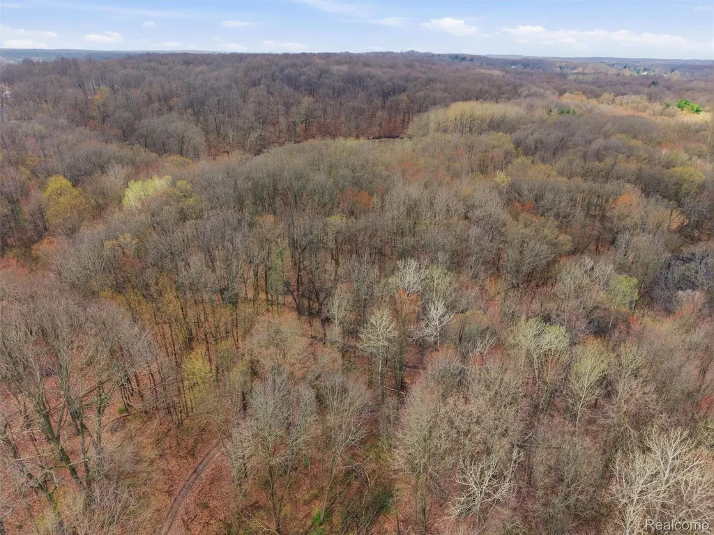 11810 Scenic Valley Springfield Charter Township MI 48350