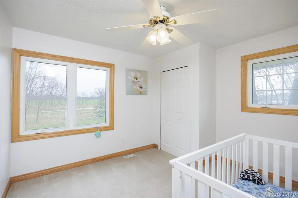 9247 Schrepfer Road Howell City MI 48855