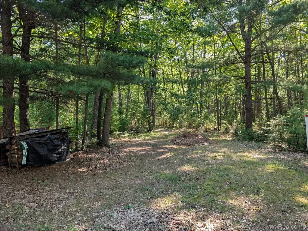 3821 S Townline Road Denton Township MI 48651