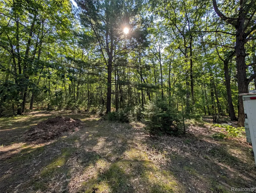 3821 S Townline Road Denton Township MI 48651