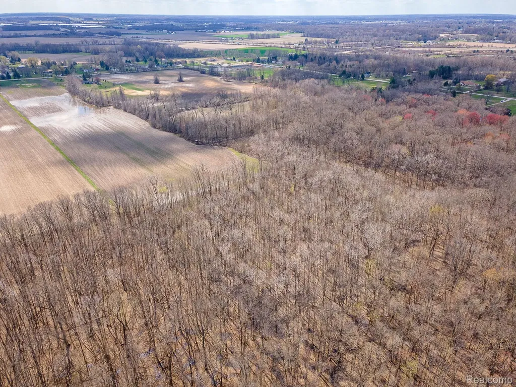 Parcel 4 Carleton Rockwood Ash Township MI 48117