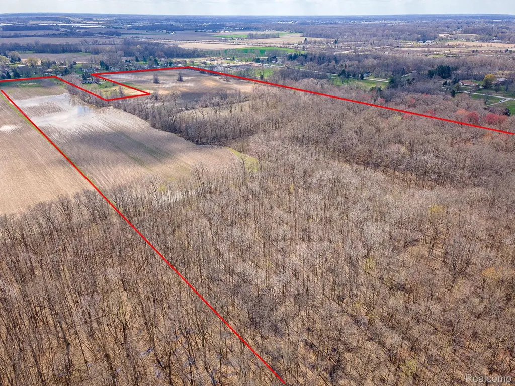 Parcel 4 Carleton Rockwood Ash Township MI 48117