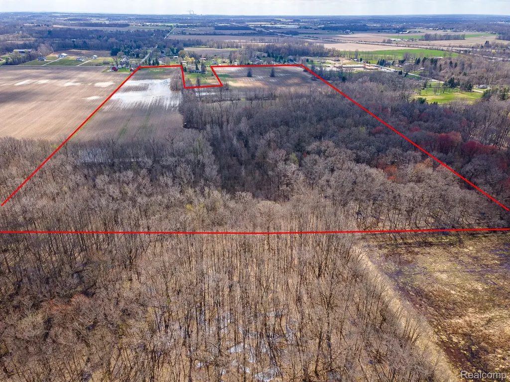 Parcel 4 Carleton Rockwood Ash Township MI 48117