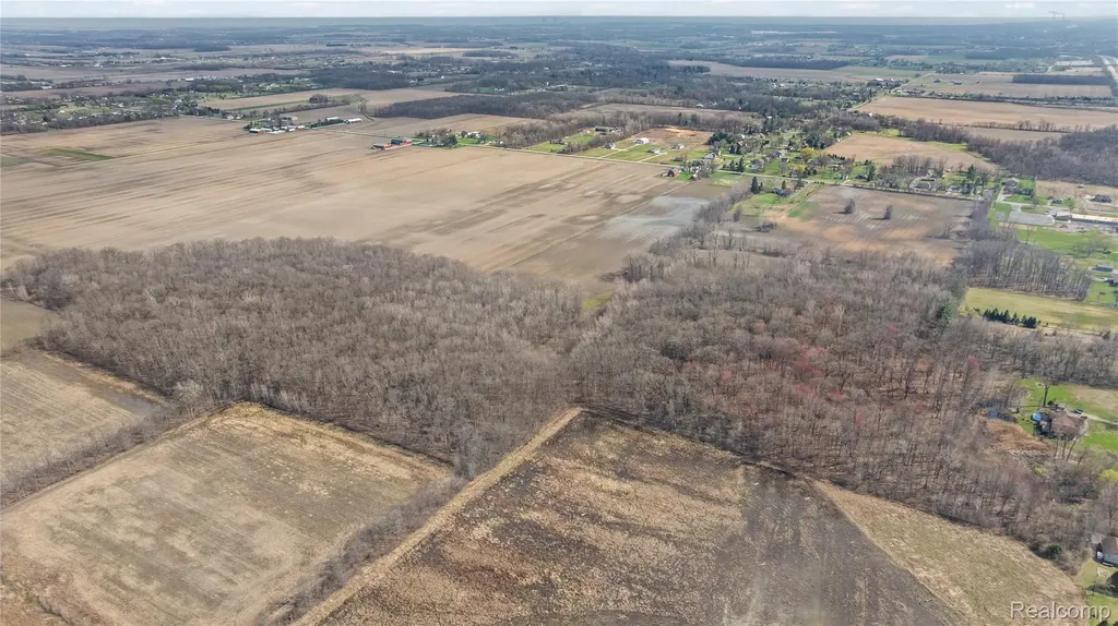 Parcel 4 Carleton Rockwood Ash Township MI 48117