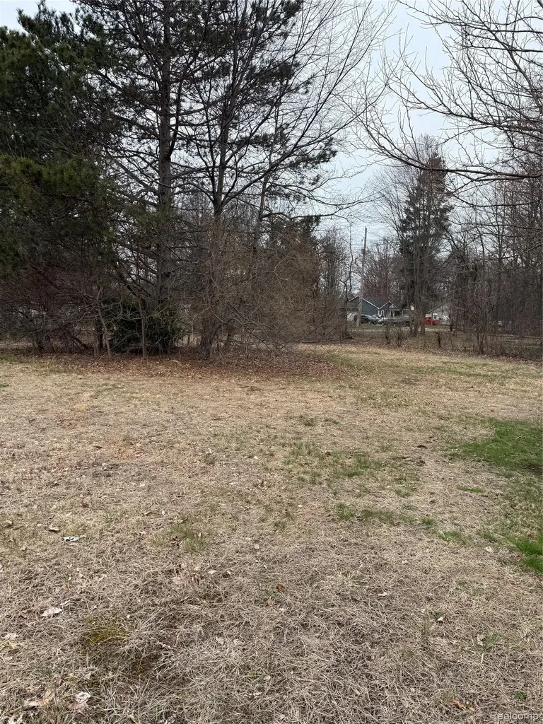 Lot 51 Park Drive Park Drive Montrose City MI 48457