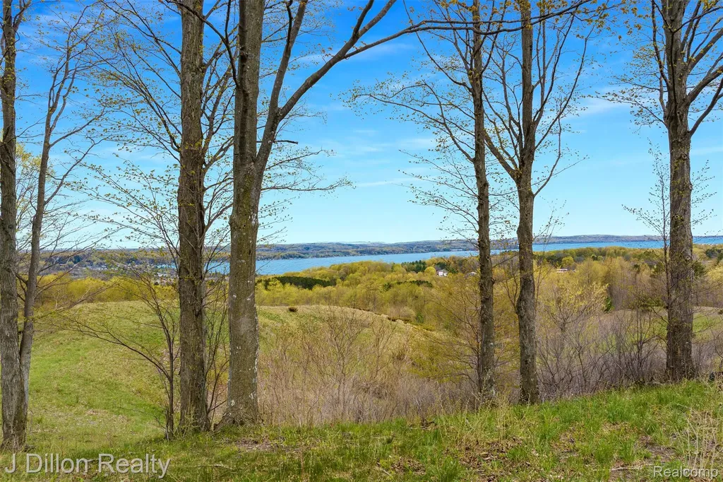Lot 16 Wild Laurel Lane Benzonia Township MI 49617