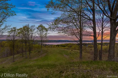 Lot 16 Wild Laurel Lane Benzonia Township MI 49617