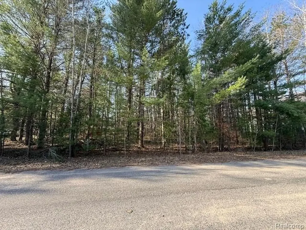 0 Ponderosa Drive Wexford Township MI 49601