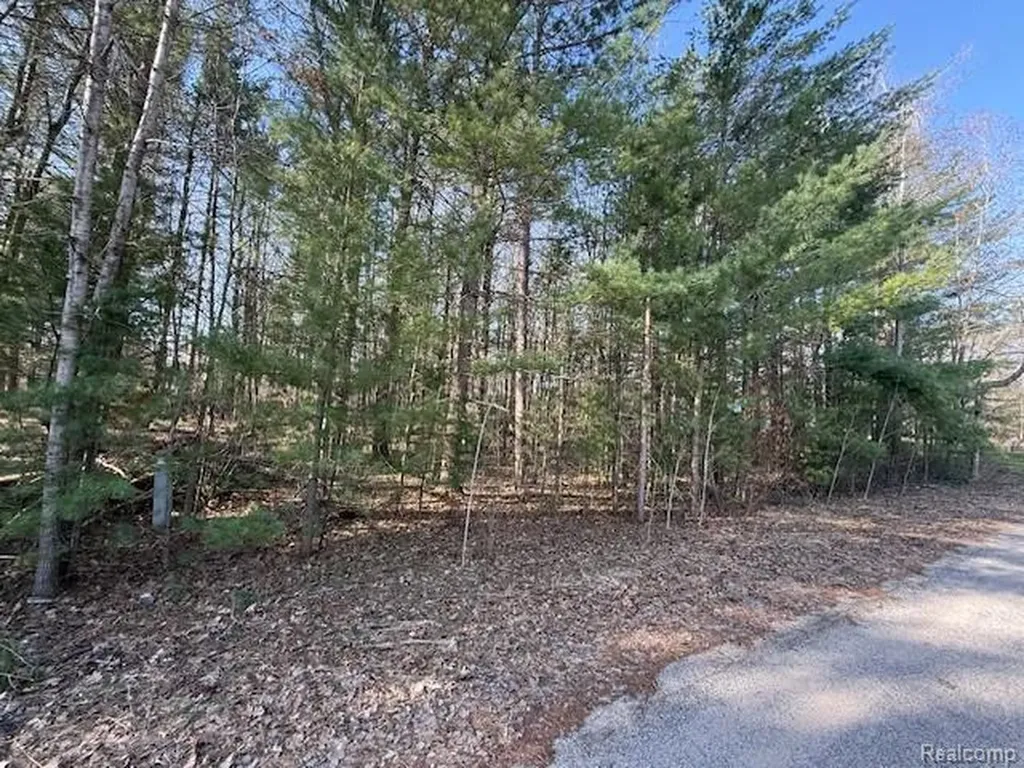 0 Ponderosa Drive Wexford Township MI 49601