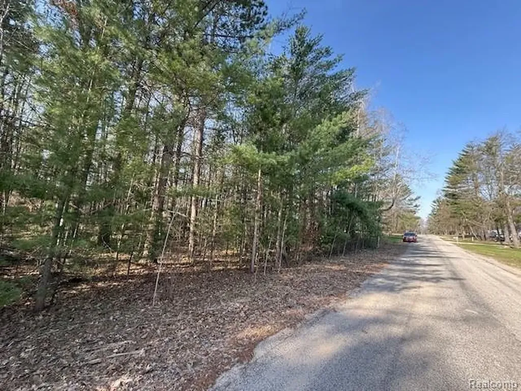 0 Ponderosa Drive Wexford Township MI 49601