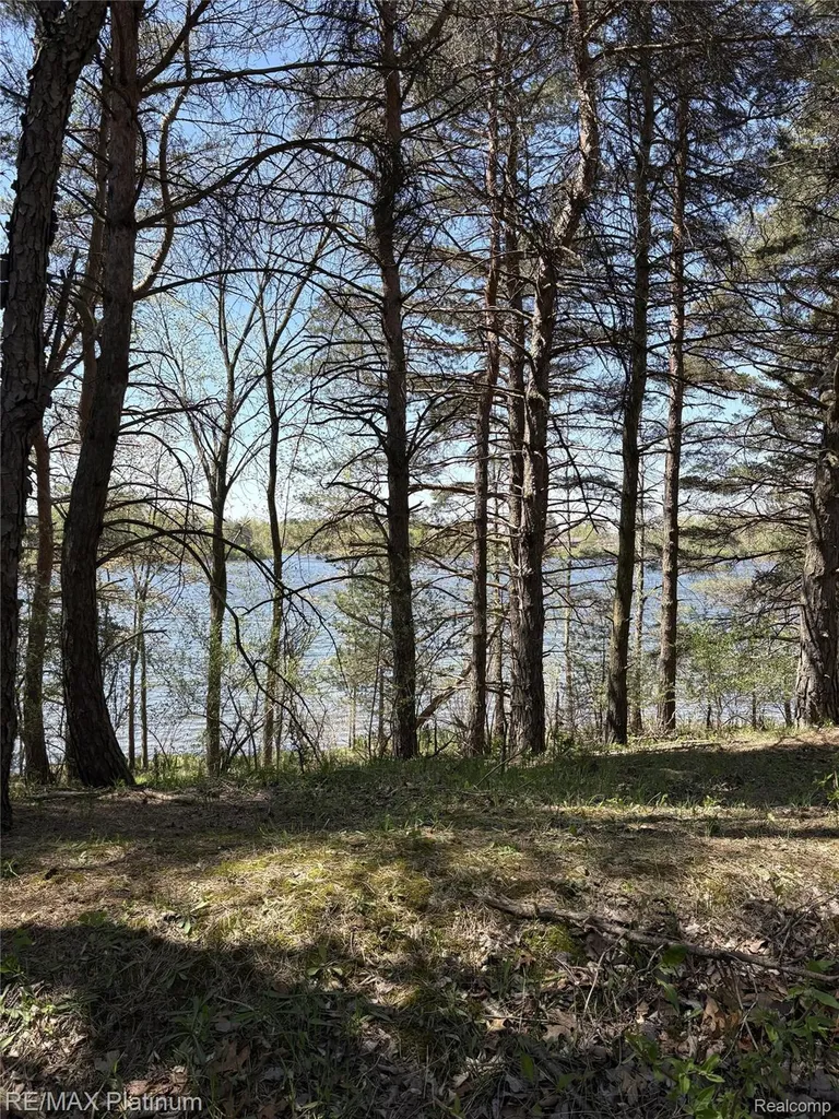 Parcel 3 Pineway Trail Howell Township MI 48855