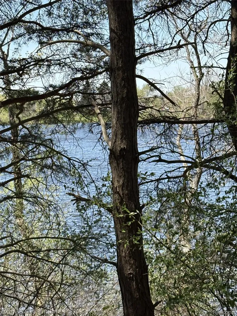 Parcel 3 Pineway Trail Howell Township MI 48855