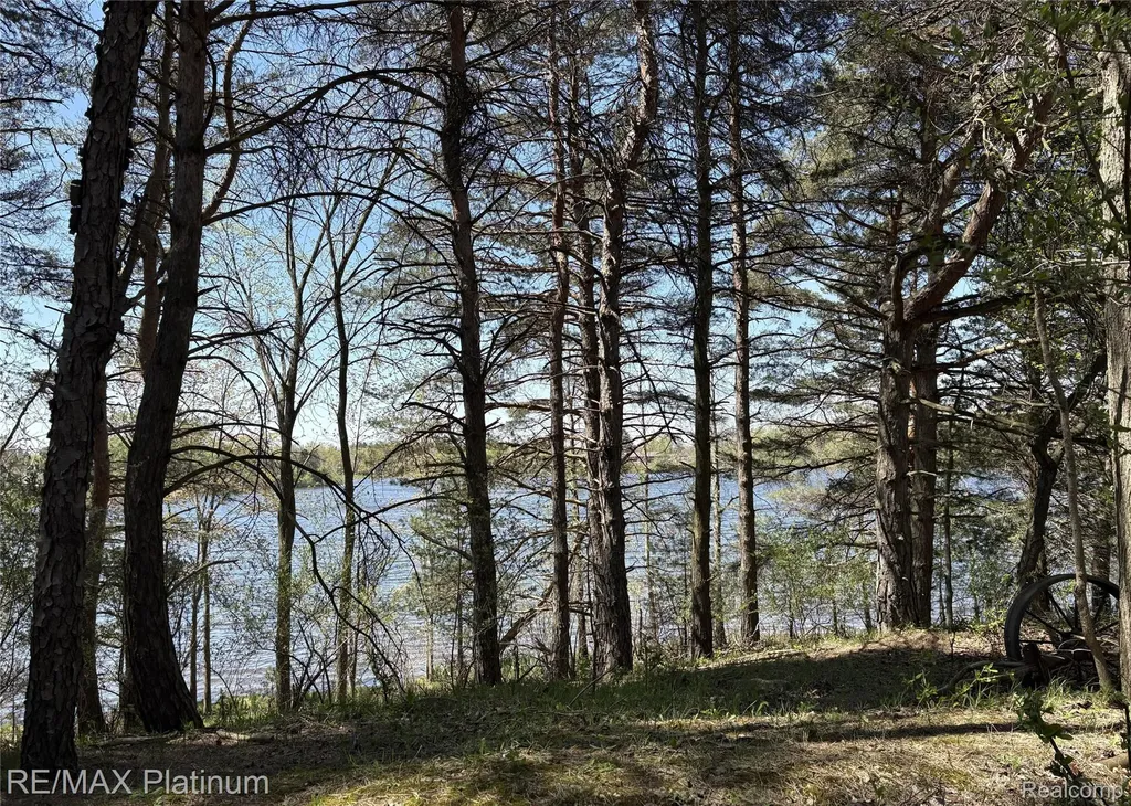 Parcel 3 Pineway Trail Howell Township MI 48855