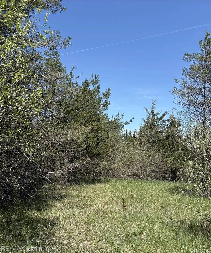 Parcel 3 Pineway Trail Howell Township MI 48855