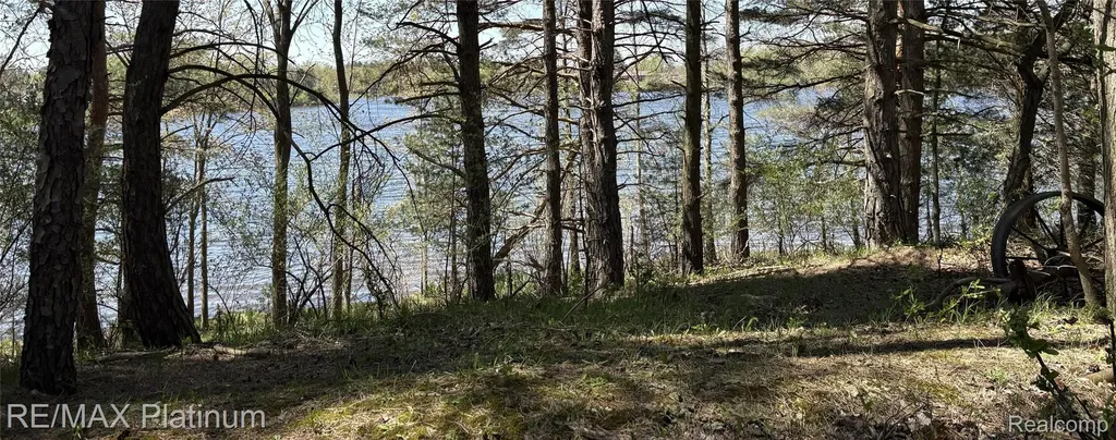 Parcel 3 Pineway Trail Howell Township MI 48855