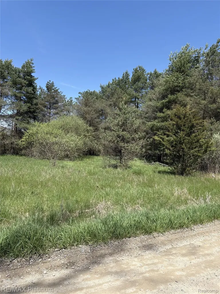 Parcel 3 Pineway Trail Howell Township MI 48855