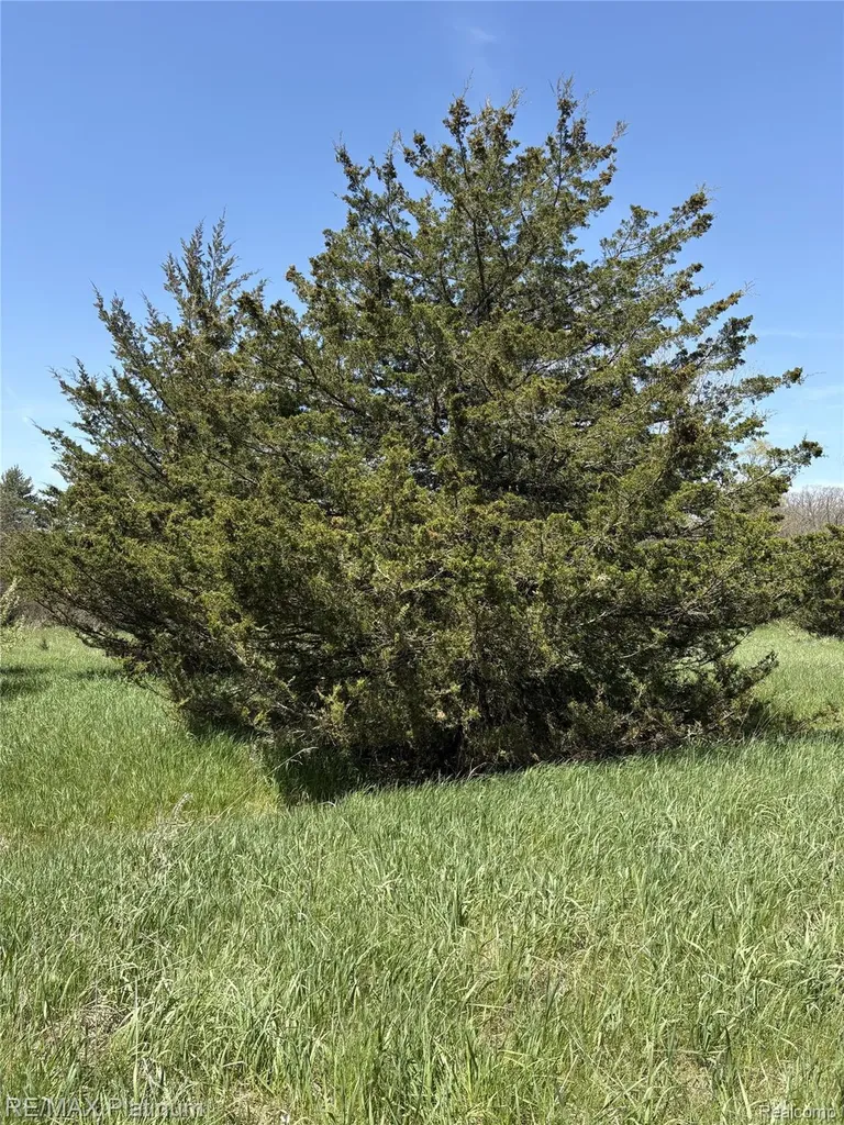 Parcel 3 Pineway Trail Howell Township MI 48855