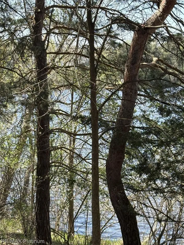 Parcel 3 Pineway Trail Howell Township MI 48855