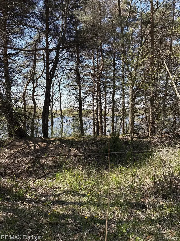 Parcel 3 Pineway Trail Howell Township MI 48855