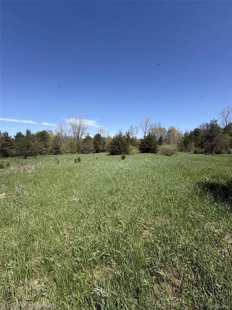 Parcel 2 Pineway Trail Howell Township MI 48855