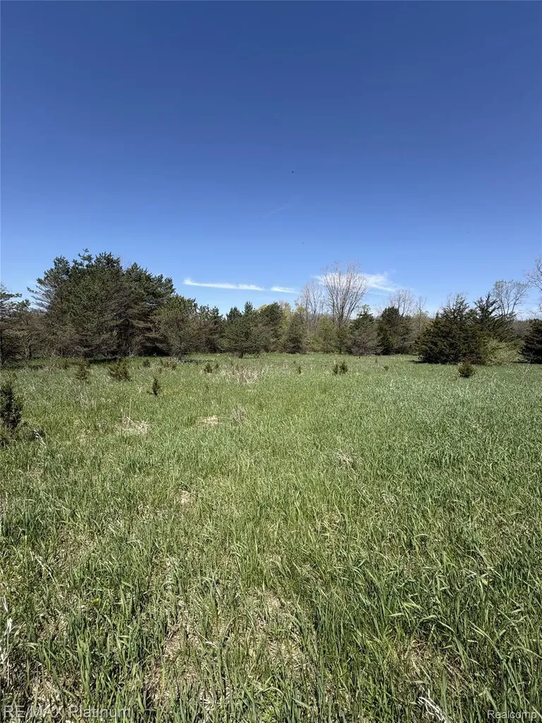 Parcel 2 Pineway Trail Howell Township MI 48855