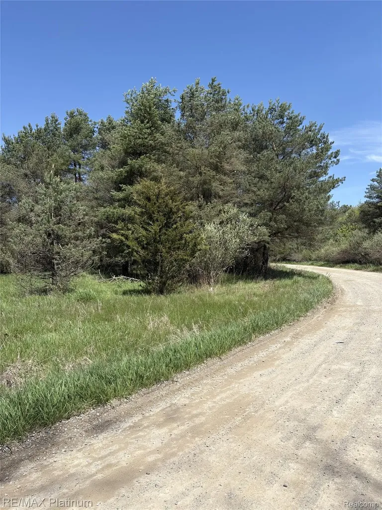 Parcel 2 Pineway Trail Howell Township MI 48855