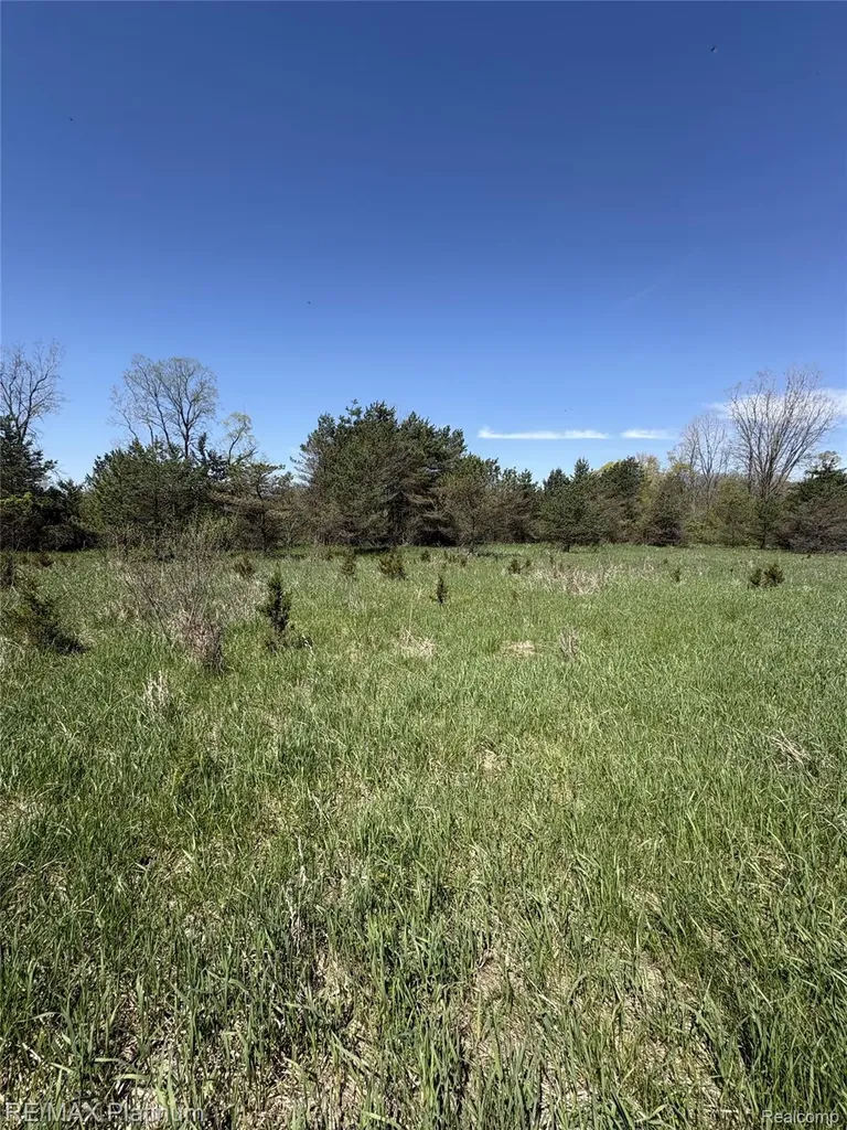 Parcel 2 Pineway Trail Howell Township MI 48855