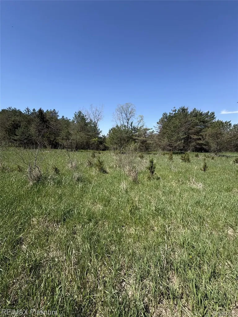 Parcel 2 Pineway Trail Howell Township MI 48855
