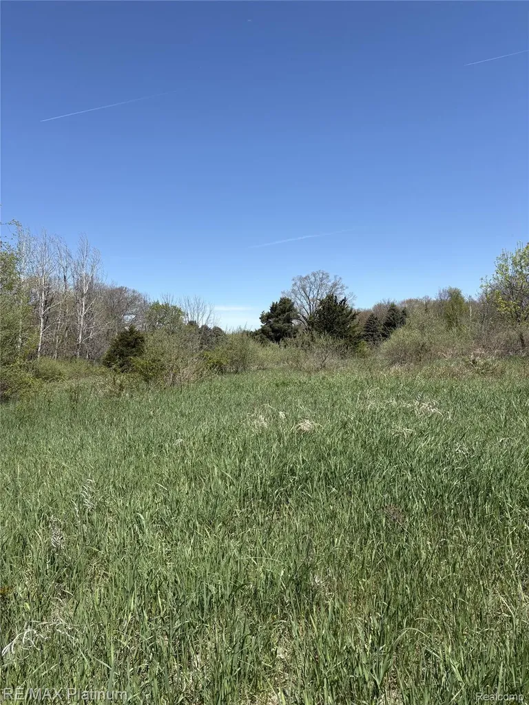 Parcel 1 Edgemont Drive Howell Township MI 48855