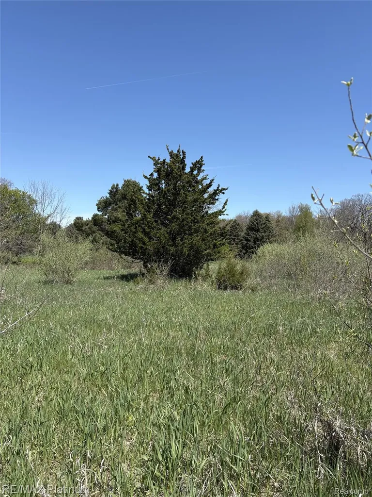 Parcel 1 Edgemont Drive Howell Township MI 48855