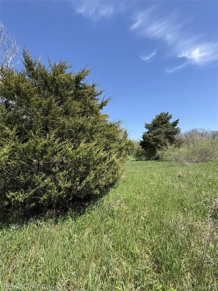 Parcel 1 Edgemont Drive Howell Township MI 48855