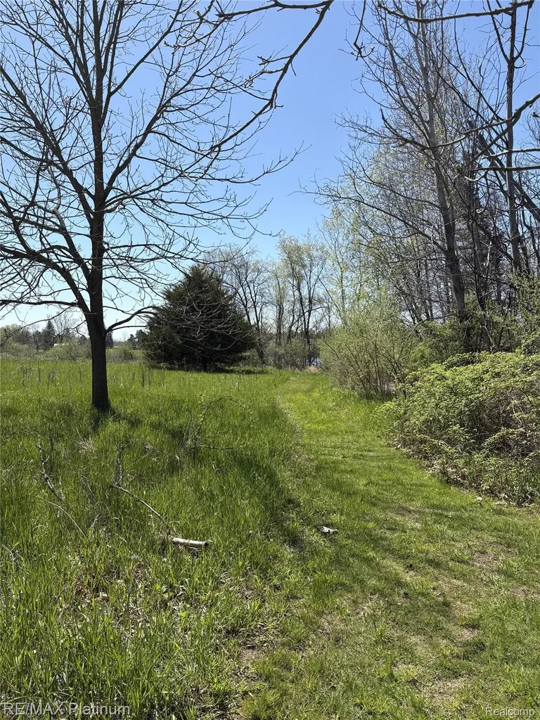 Parcel 1 Edgemont Drive Howell Township MI 48855