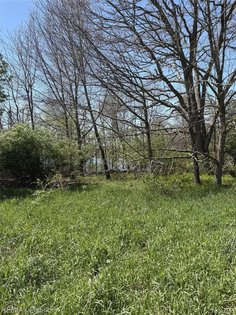 Parcel 1 Edgemont Drive Howell Township MI 48855