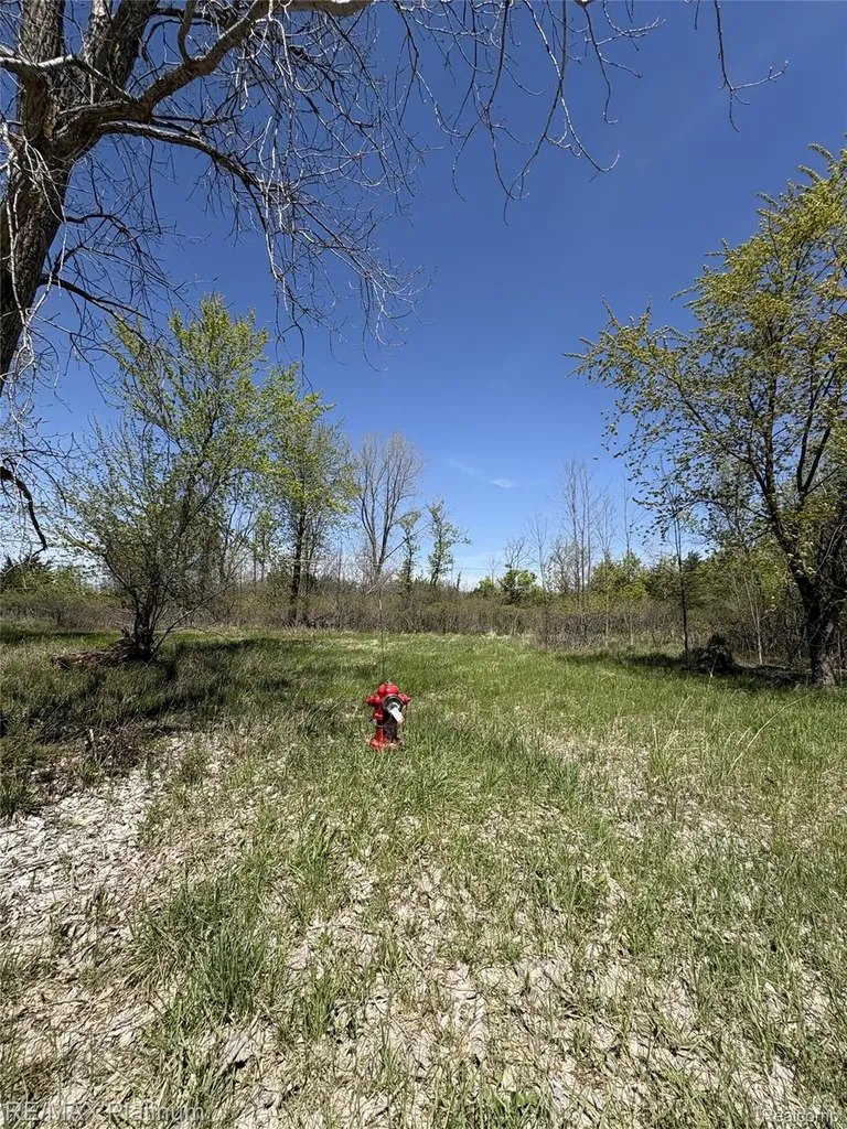 Parcel 6 Fisher Road Howell Township MI 48855