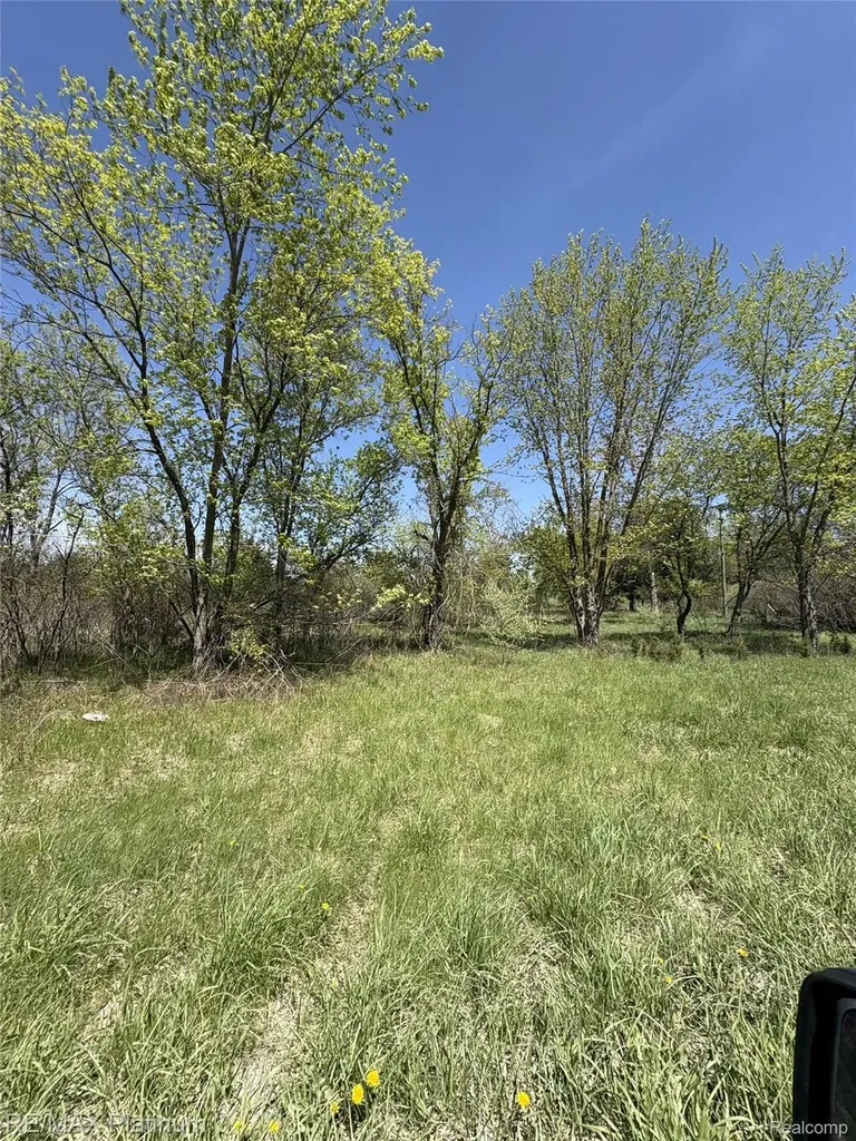 Parcel 6 Fisher Road Howell Township MI 48855