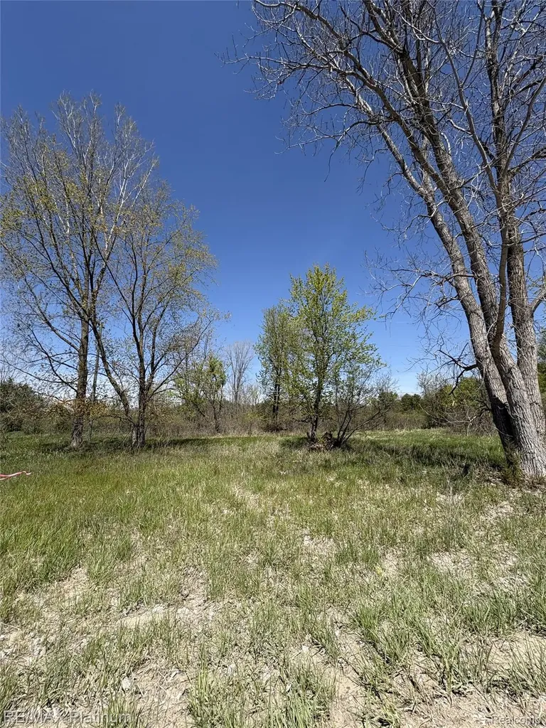 Parcel 6 Fisher Road Howell Township MI 48855