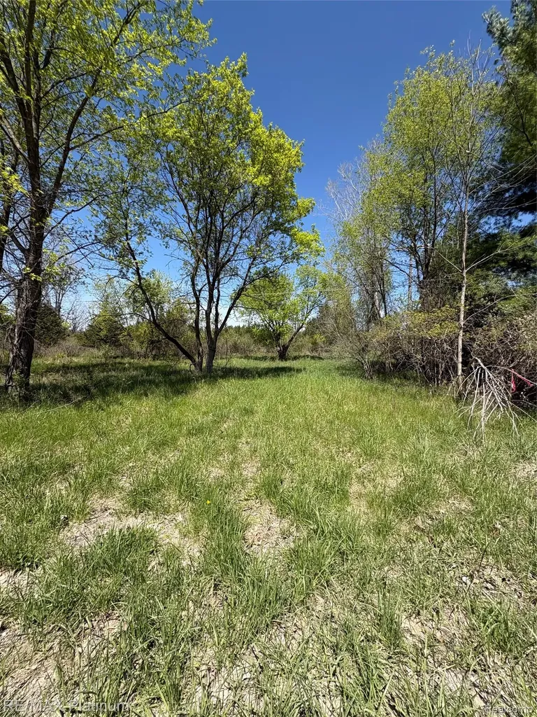 Parcel 6 Fisher Road Howell Township MI 48855