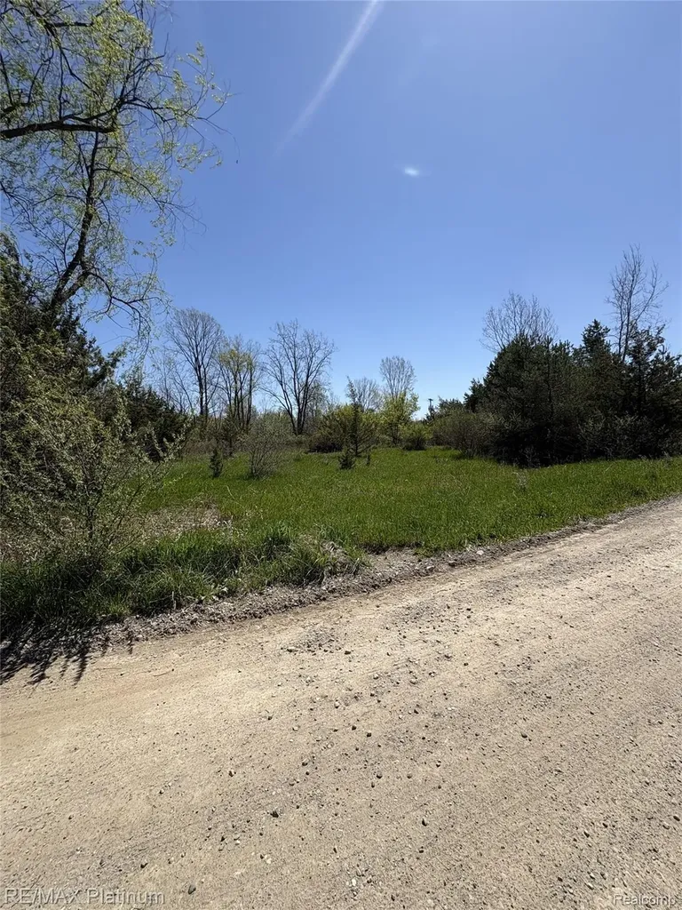 Parcel 5 Fisher Road Howell Township MI 48855