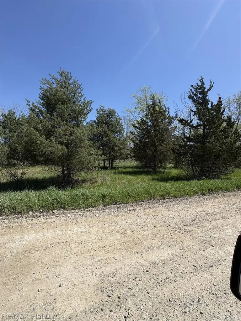 Parcel 5 Fisher Road Howell Township MI 48855