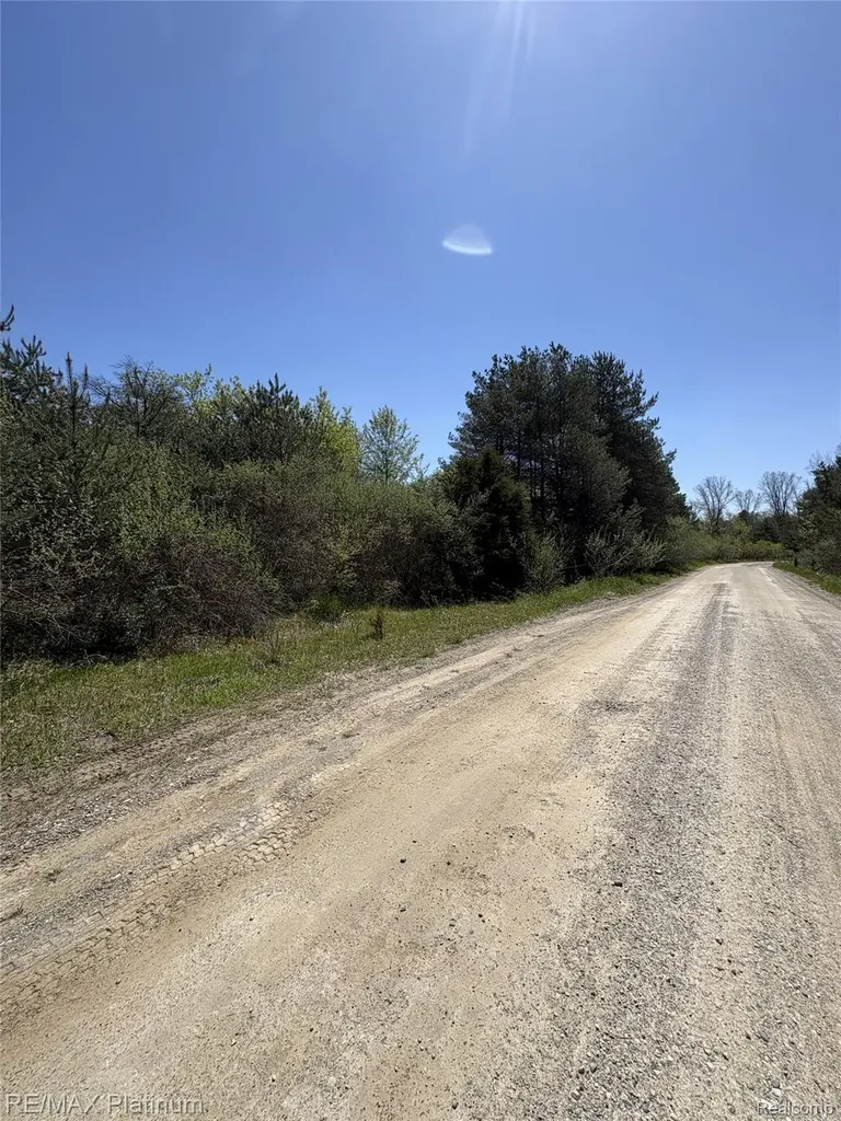 Parcel 5 Fisher Road Howell Township MI 48855