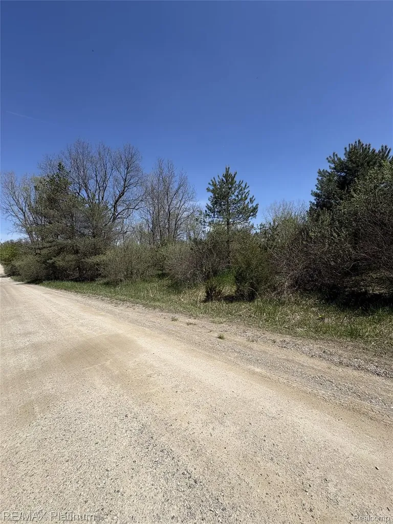 Parcel 5 Fisher Road Howell Township MI 48855
