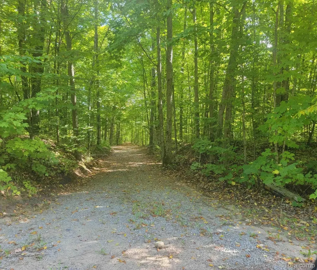 0000 Northland Drive Maple Forest Township MI 49733