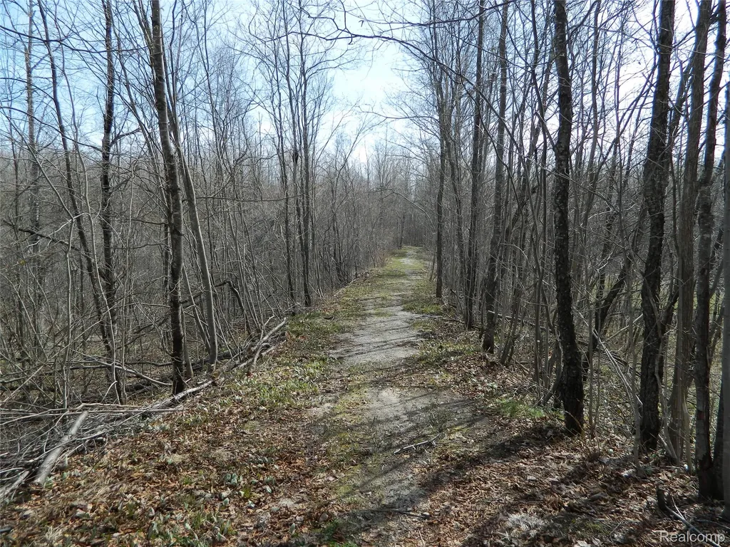 0000 Northland Drive Maple Forest Township MI 49733
