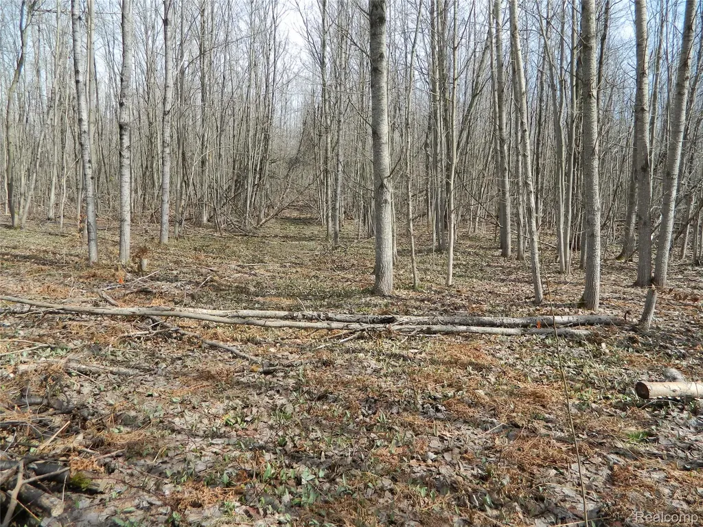 0000 Northland Drive Maple Forest Township MI 49733