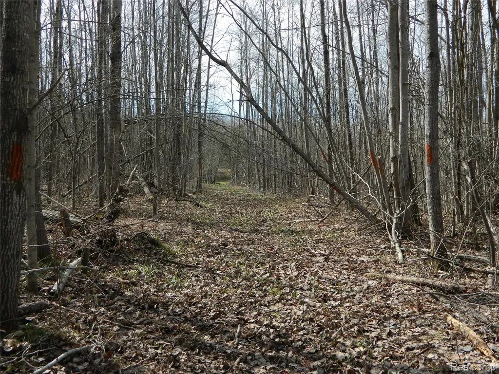 0000 Northland Drive Maple Forest Township MI 49733
